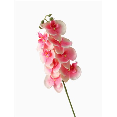 Цветы искусственные «Орхидея Изящная», 10×100 см, розовые