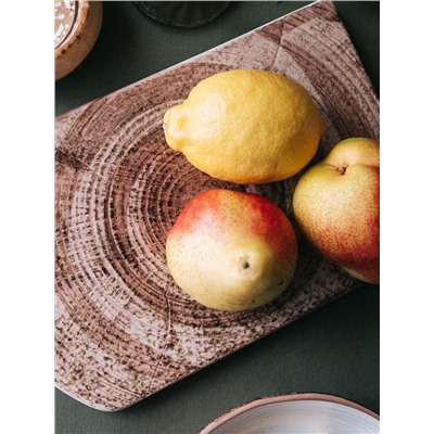 Блюдо для подачи Magistro Wood, 36.5×18×1.2 см, фарфор, коричневое