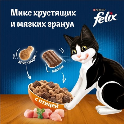 Сухой корм Felix «Двойная вкуснятина» для кошек, птица, 600 г
