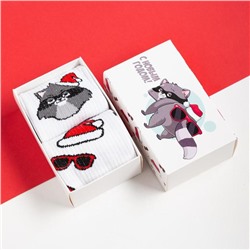 Носки мужские новогодние «Енот» размер 41-44, набор 2 пары