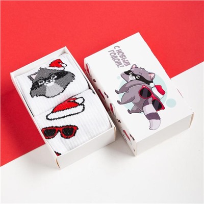 Носки мужские новогодние «Енот» размер 41-44, набор 2 пары