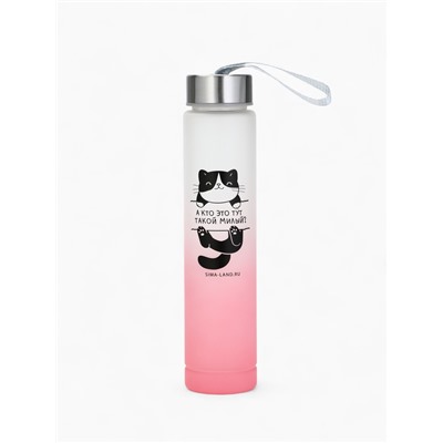 Бутылка для воды пластиковая «Котя», 300 мл