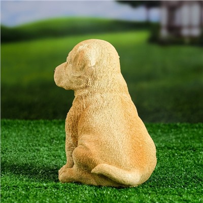 Садовая фигура из полистоуна «Щенок лабрадора», 17×12×20 см