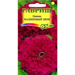 Цинния Малиновый звон (Гавр)