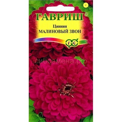 Цинния Малиновый звон (Гавр)