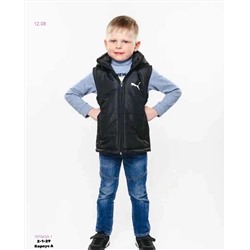 Жилет 1976433-1