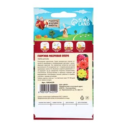 Семена цветов Георгина махровая «Опера», 0.2 г, «Рецепты дедушки Никиты»