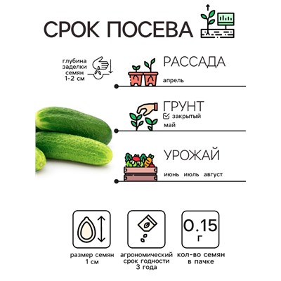 Семена Огурец «Зозуля», 0.15 г, «Рецепты дедушки Никиты»
