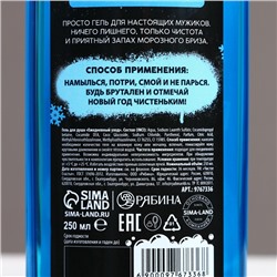 Гель для душа «Классному мужику», 250 мл, аромат морозного бриза, 18+, Чистое счастье
