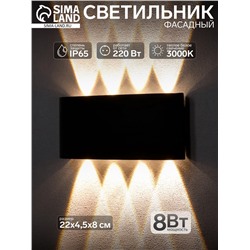 Светильник фасадный «Полусфера», 8 Вт, 3000К, 4 луча, IP65, 220 В, металлический корпус, чёрный, свечение тёплое белое