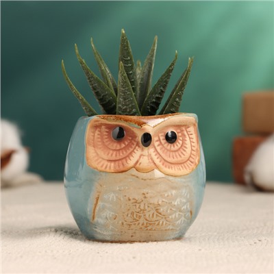 Декоративный горшок для цветов «Сова Ава» керамический, 100 мл, 6.5×6.5×6 см, голубой