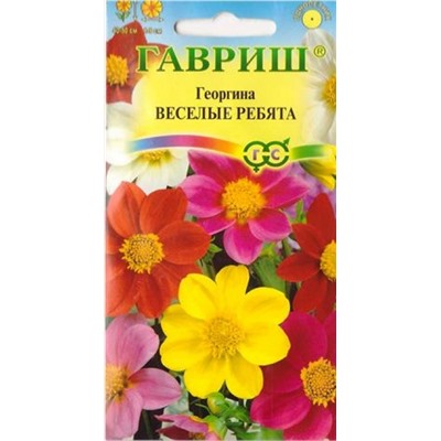 Георгина Веселые ребята (Код: 9273)