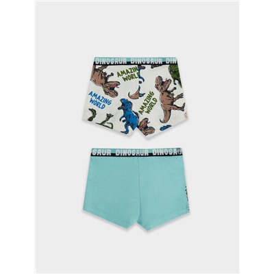 ТРУСЫ ДЛЯ МАЛЬЧИКОВ (2ШТ.) 413345-2