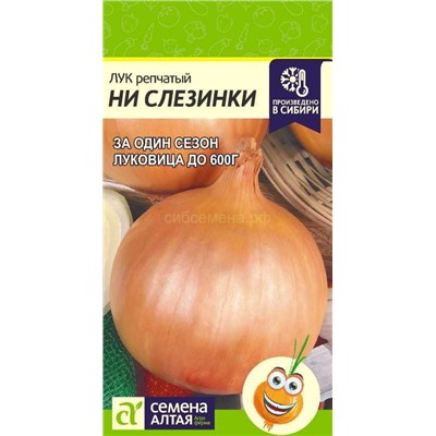Лук Ни Слезинки (Алтай)