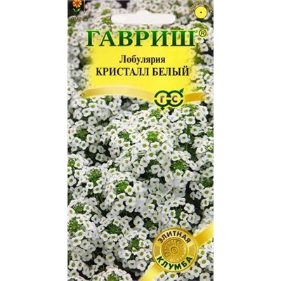 Лобулярия Кристалл белый (Код: 84686)