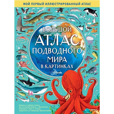 АСТ Эмили Хокинс, Люси Лезерленд "Большой атлас подводного мира в картинках"