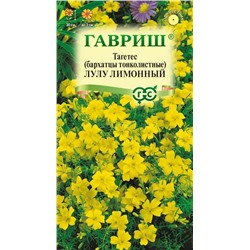 Бархатцы Лулу лимонный тонколист. (Гавр)