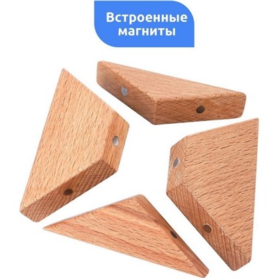 Магнитная головоломка по системе раннего развития «Компсогнат»