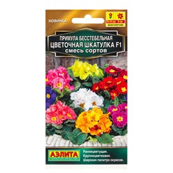 Семена цветов Примула Цветочная шкатулка F1, смесь сортов Мн Золотая серия, Ц/П,5 шт.