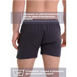 Мужские трусы семейные Berrak