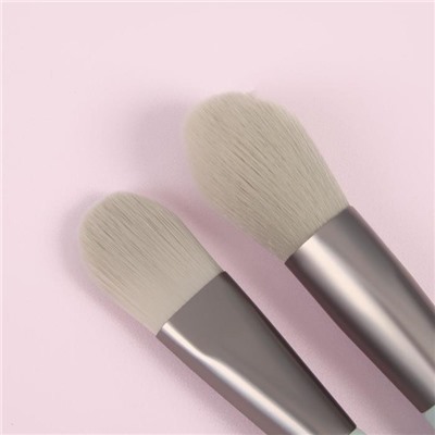 Набор кистей для макияжа «Парфе», 5 предметов, футляр на кнопке, цвет серый