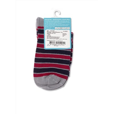 БРЕСТСКИЕ Носки SCHOOL 3081 (с рисунком)