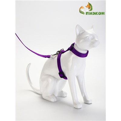 Комплект для кошек, ширина 1.5 см, ОШ 16.5-27 см, ОГ 21-35 см, поводок 120 см, фиолетовый