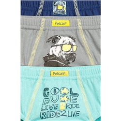 Трусы 3 шт. PELICAN, 684445
