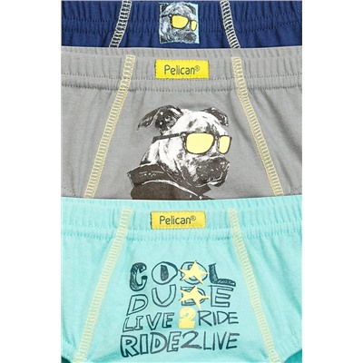 Трусы 3 шт. PELICAN, 684445