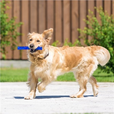 Жевательная игрушка для собак «Палка», 24.5 см, тренировочная, полая, синяя