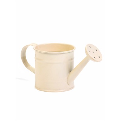 Кашпо «Лейка», 150 мл, металл, МИКС