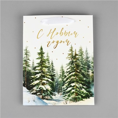 Пакет подарочный новогодний ламинированный «С Новым годом», MS 18×23×10 см