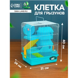 Клетка для грызунов «Пижон», двухэтажная с наполнением 31×24×40 см, голубая