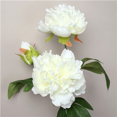 Цветок искусственный Пион белый 65 см три бутона / RF-1561 /уп 120/500/
