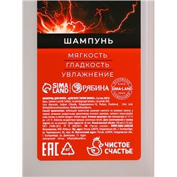 Подарочный набор косметики «Запас мужика», гель для душа 250 мл, шампунь для волос 250 мл, носки, HARD LINE