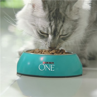 Сухой корм Purina One для домашних кошек, индейка/злаки, 3 кг