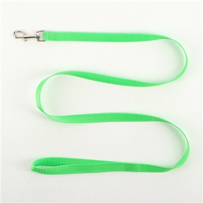 Шлейка с поводком «Базис», 32-46×1.5 см, поводок 120×1.5 см, зелёная