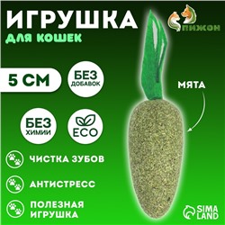 Игрушка для кошек из кошачьей мяты «Морковка», 5 см