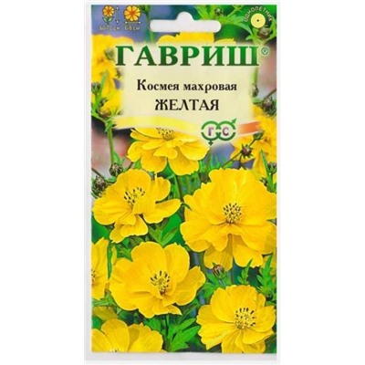 Космея Желтая (Код: 11632)