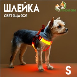Шлейка светящаяся размер S, стропа 2.5 см, ОГ 32-40 см, 3 режима свечения оранжевая