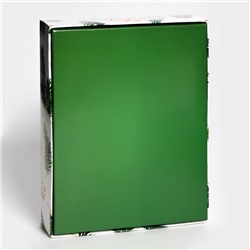 Коробка под 12 конфет новогодняя «Ёлочные ветки», 19×15×3.5 см