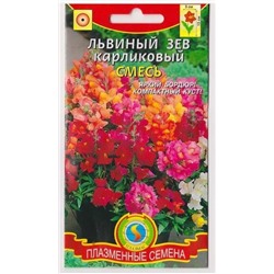 Львиный зев Карликовый Смесь (Код: 75988)