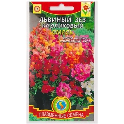 Львиный зев Карликовый Смесь (Код: 75988)