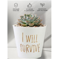Кашпо для цветов «Я выживу», 800 мл, d=12 см, h=11 см, пластиковое