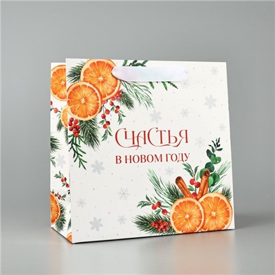 Пакет подарочный новогодний ламинированный квадратный «Счастья в Новом году», 22×22×11 см