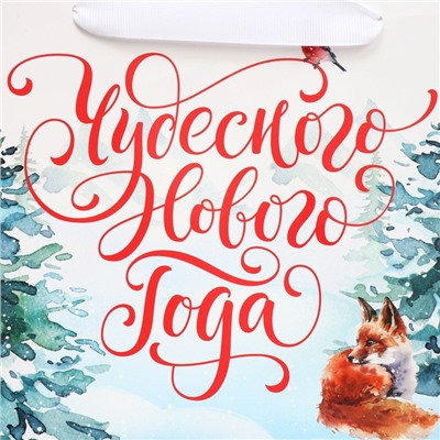 Пакет подарочный новогодний с широким дном «Чудесного Нового года», 25×19×18 см