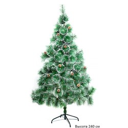 Сосна новогодняя 240 см, ёлка