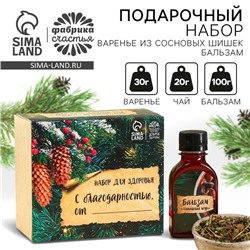 Подарочный набор новогодний«Будьте здоровы»: чай 20 г, варенье из сосновых шишек 30 г, бальзам 100 мл.