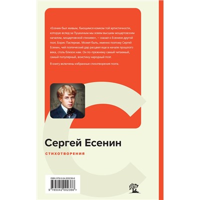 420047 Эксмо Сергей Есенин "Стихотворения"