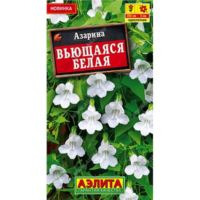 Азарина Белая вьющийся (Код: 93502)